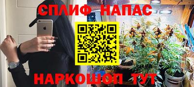 spice Гусиноозёрск