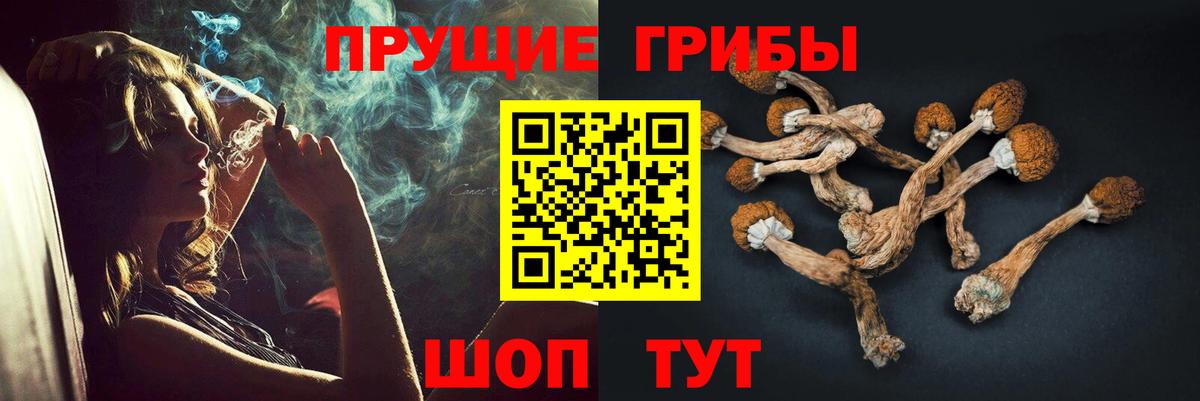 ГАШ Кириши